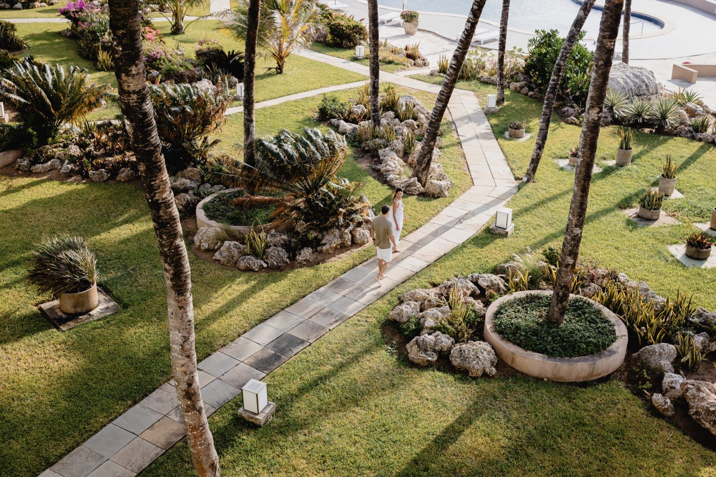 Lawn and palms laid out through planted gardens