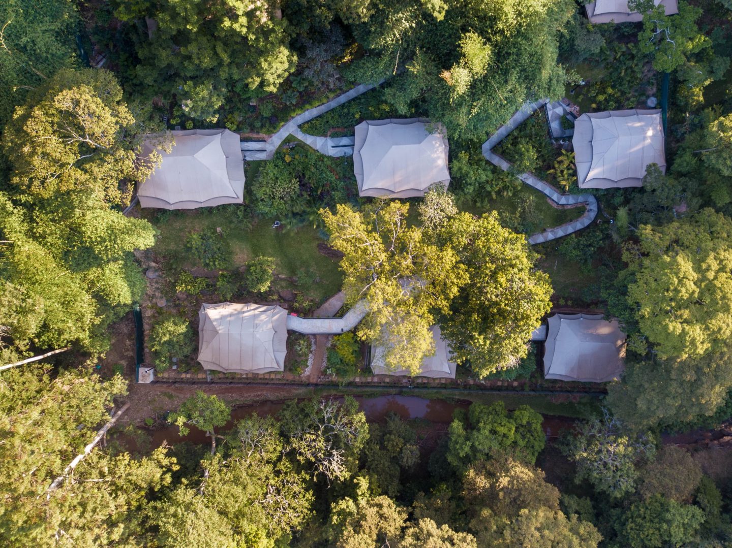 Luxury tents spaced through woodland, photographed from above